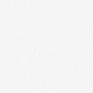 Meet your Posher, Lejla